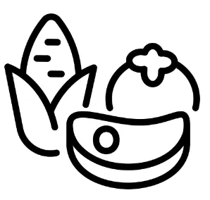 Food Preparation and Nutrition