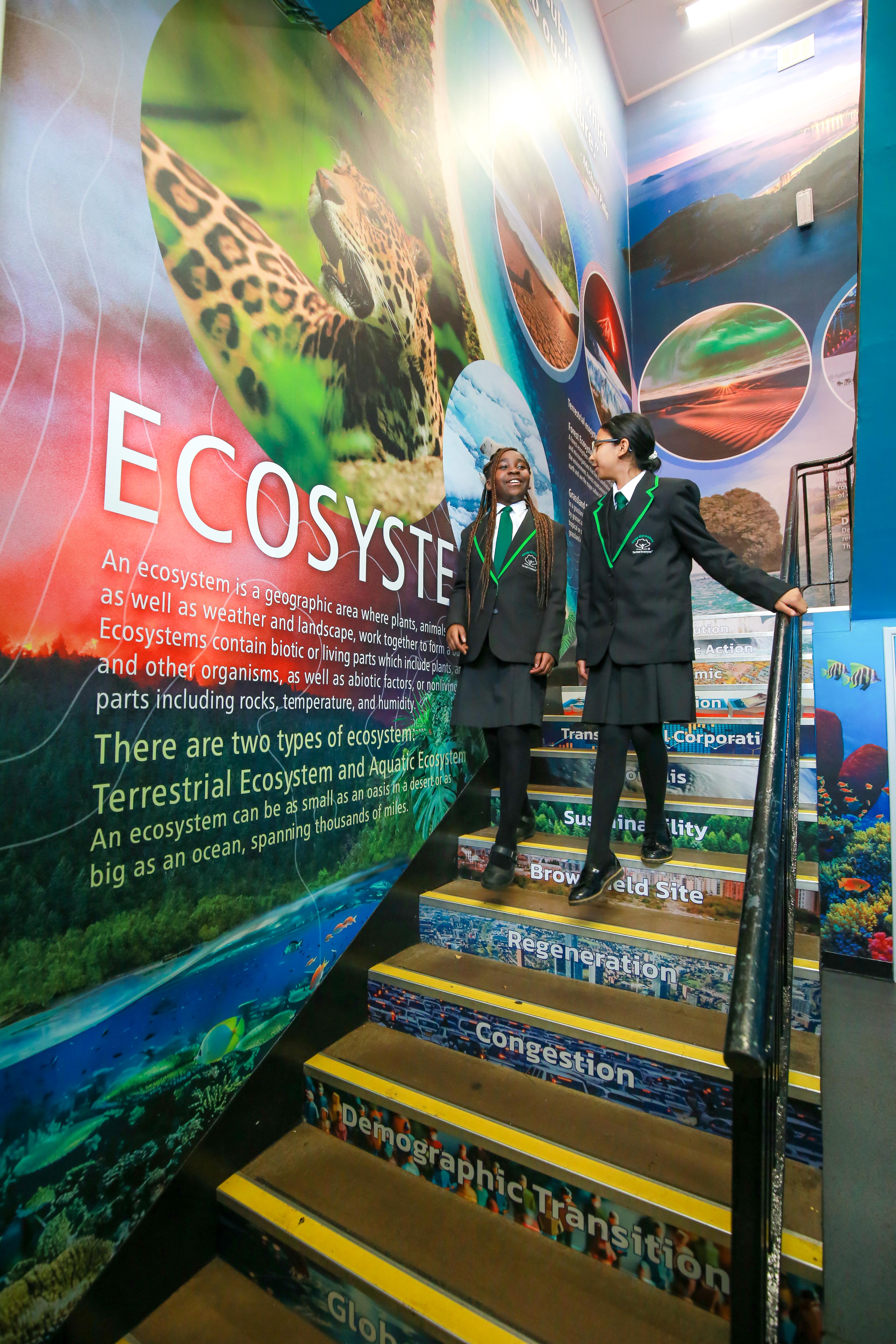 Attendance and Punctuality